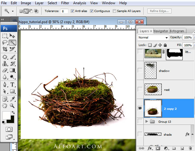 hippo, photoshop, nest, egg, shell, flying hippo, cute, baby, wings, hippopotamus, feathers
